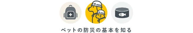 ペット防災の基本