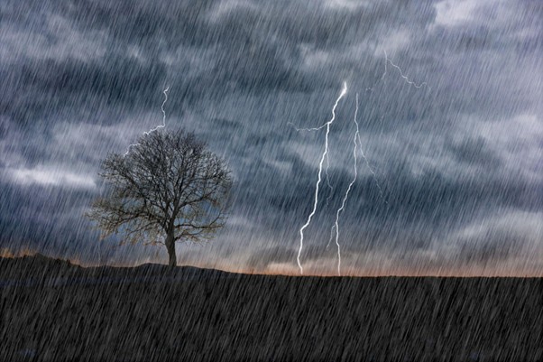 雷による被害は落雷で補償される