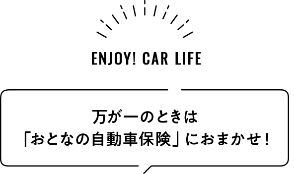 万が一のときは「おとなの自動車保険」におまかせ！
