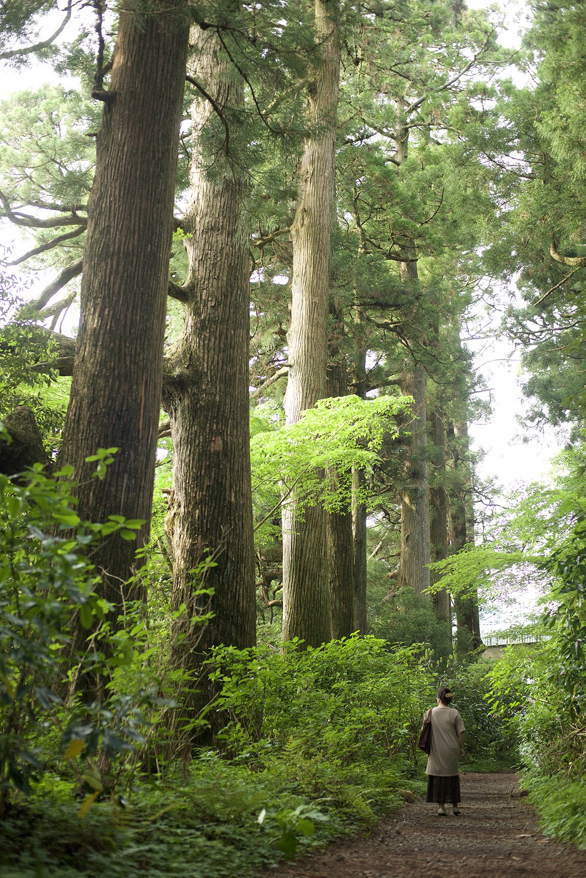 drivespot-hakone-32.jpg