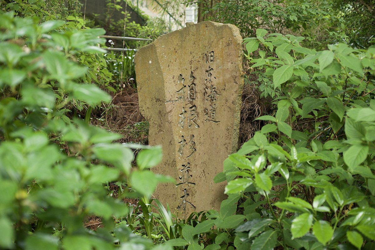 drivespot-hakone-35.jpg