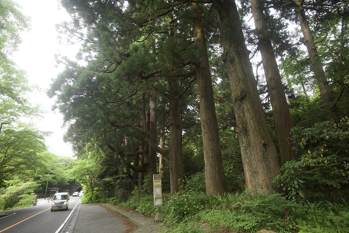 drivespot-hakone-38.jpg