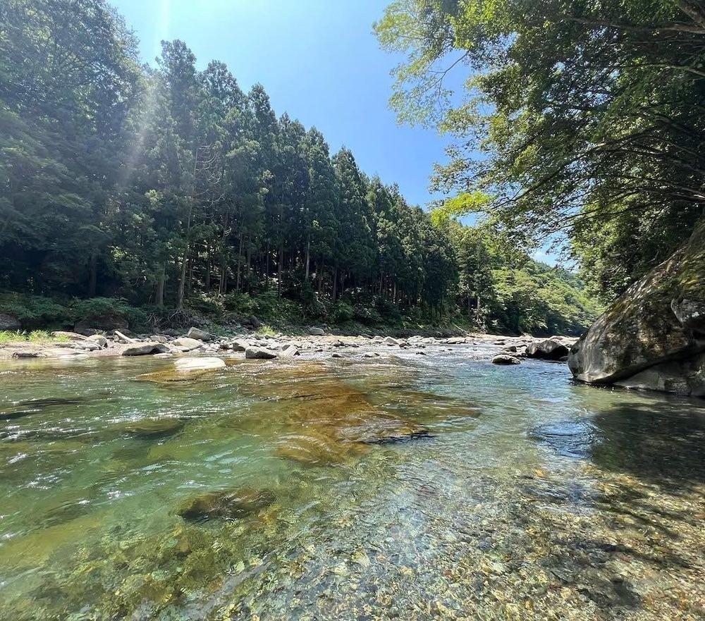 image17.jpg