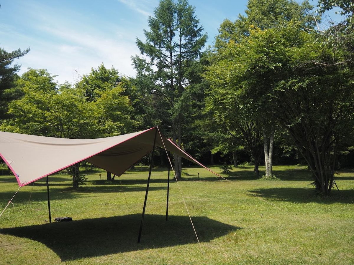 image3.jpg