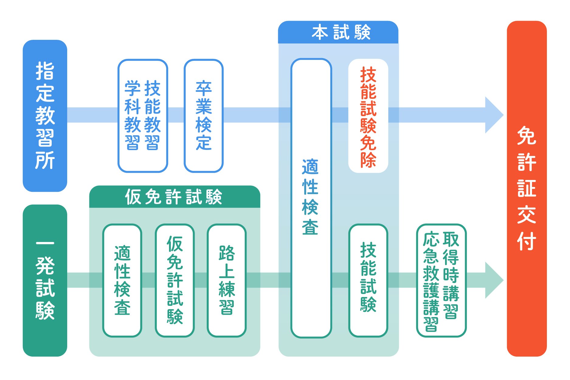 大型免許の取得方法