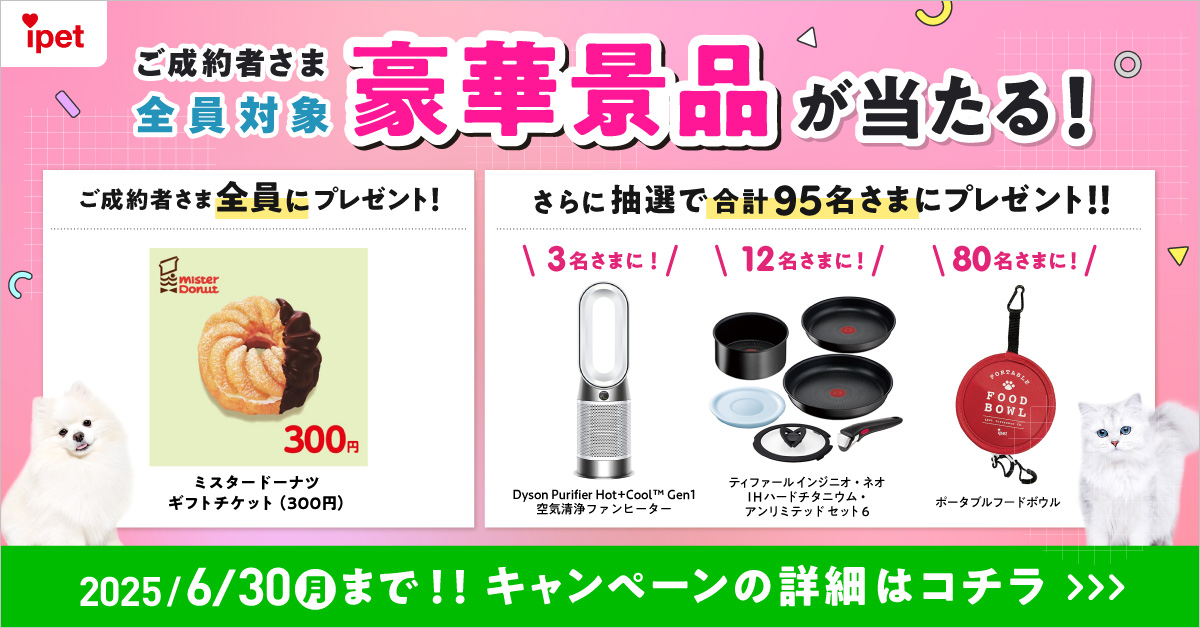 ご成約者さま全員対象豪華景品が当たる！2025/6/30(月)まで！！キャンペーンの詳細はコチラ